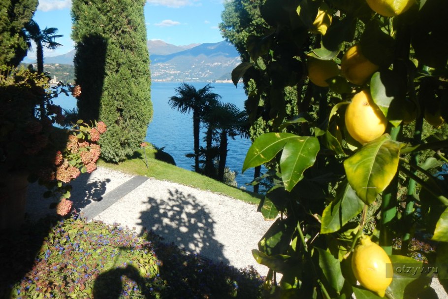 Деревья на вилле в Италии