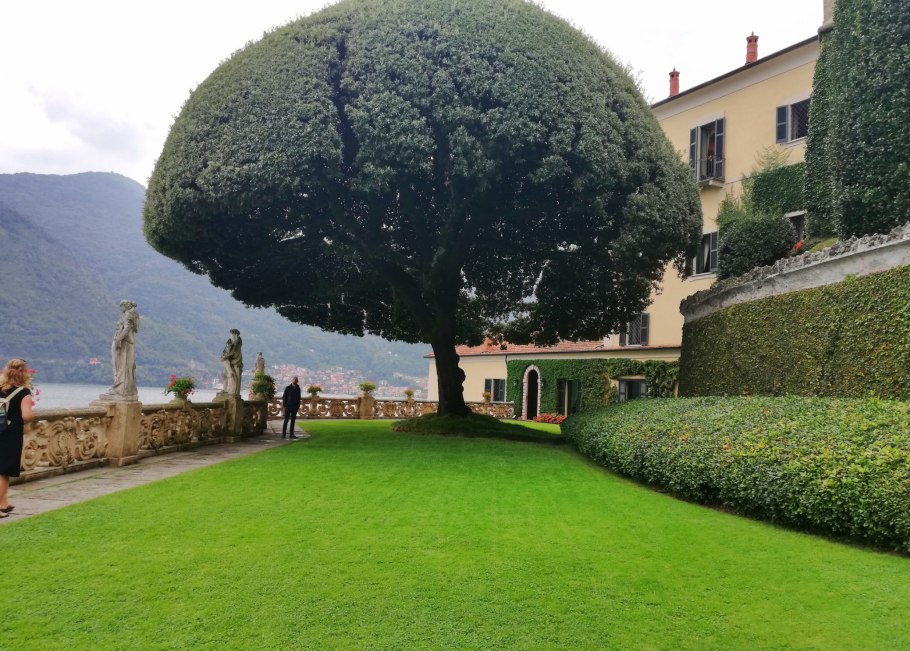 Деревья на вилле Бальбьянелло