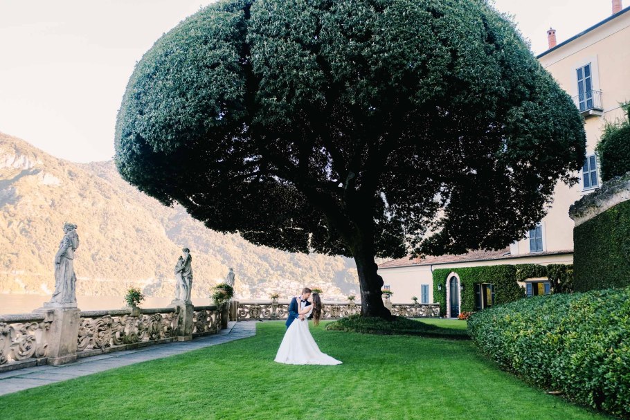 Дерево вилла Бальбианелло сорт