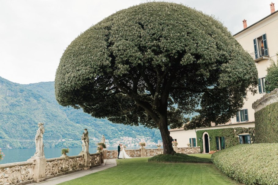 Дерево вилла Бальбианелло