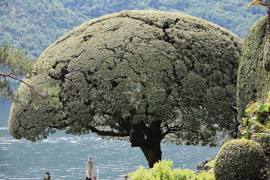 Свадебные фотосессии Villa Monastero