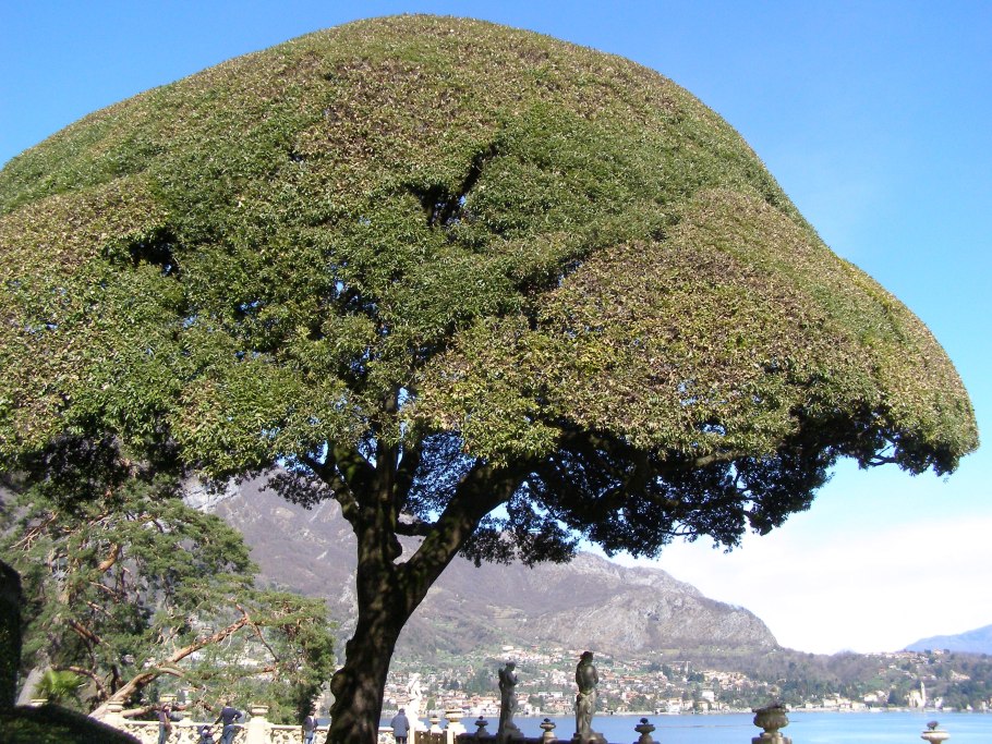 Вилла Балбьянелло озеро Комо