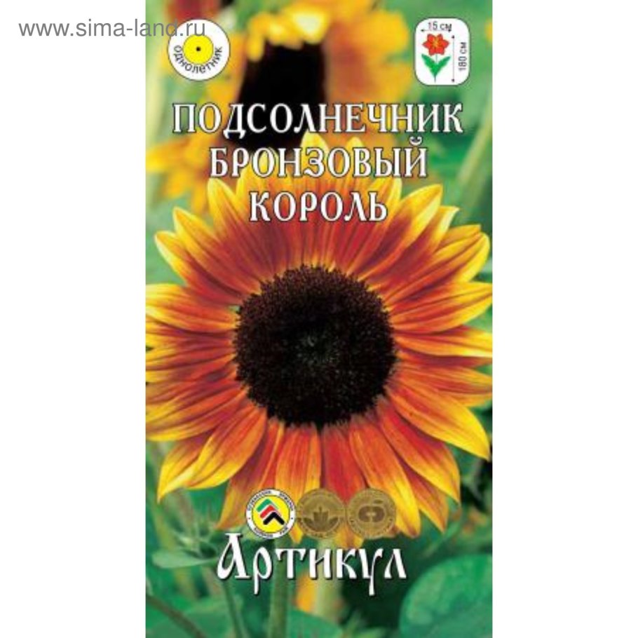 Подсолнечник малиновый Король