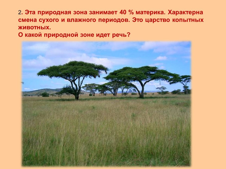 Растения тропической зоны Африки