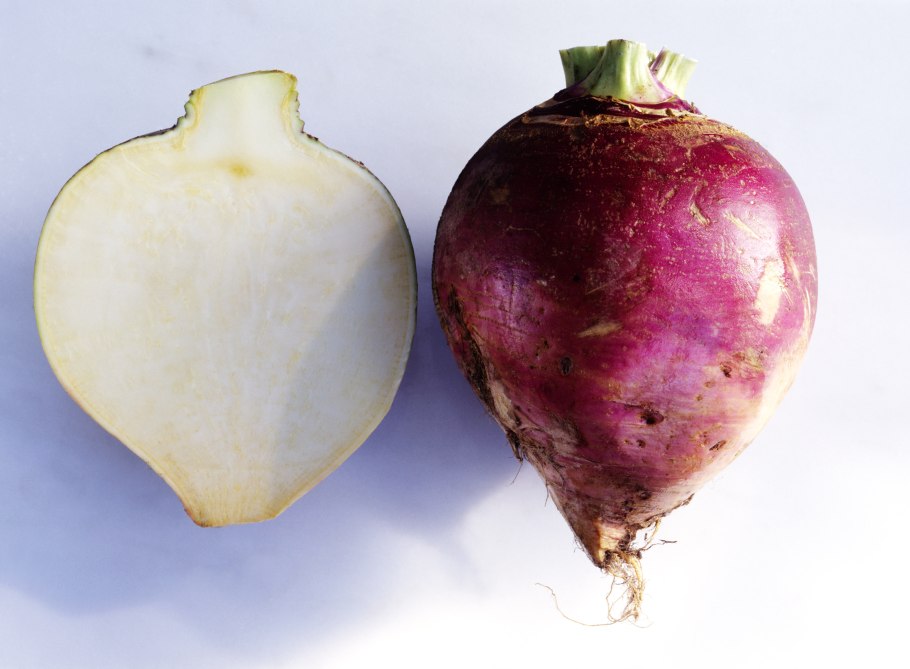 Турнепс что это за растение фото