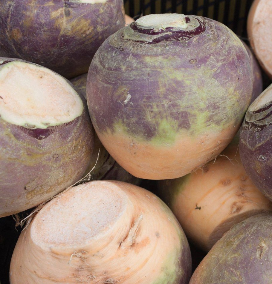 Редька репа брюква