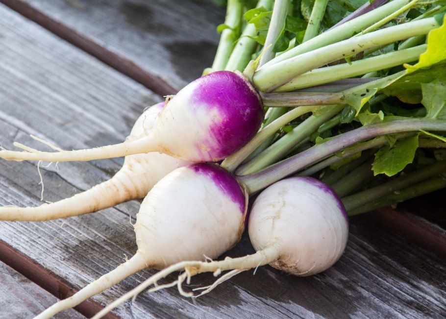 Корнеплод брюквы