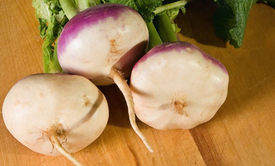 Чем полезна редька