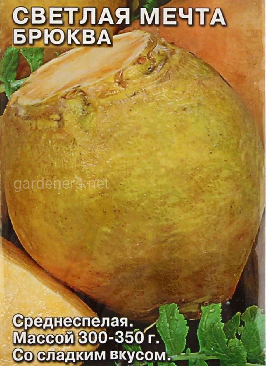 Брюква Новгородская