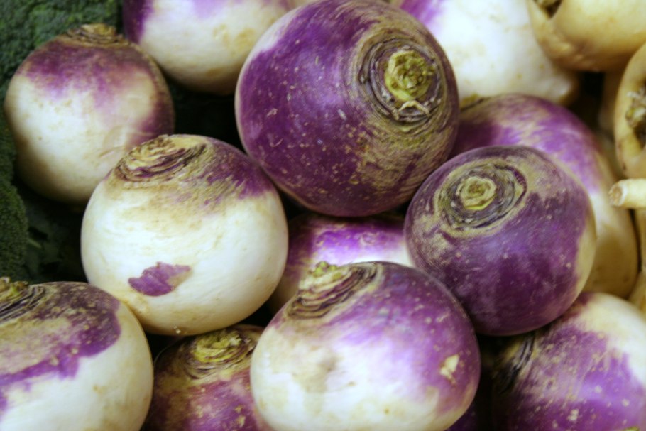Корнеплод брюквы