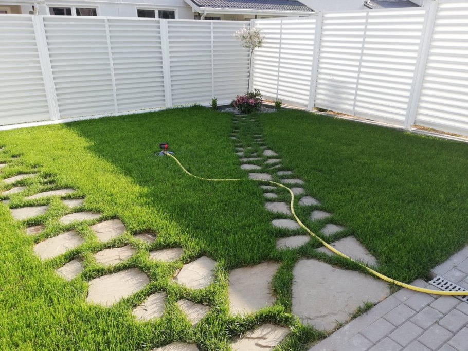 Белый Клевер для газона овсяница