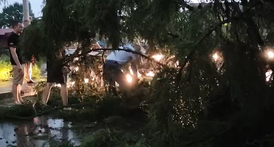 Адское дерево Заккум