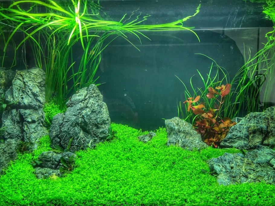 Акваскейп 2 острова