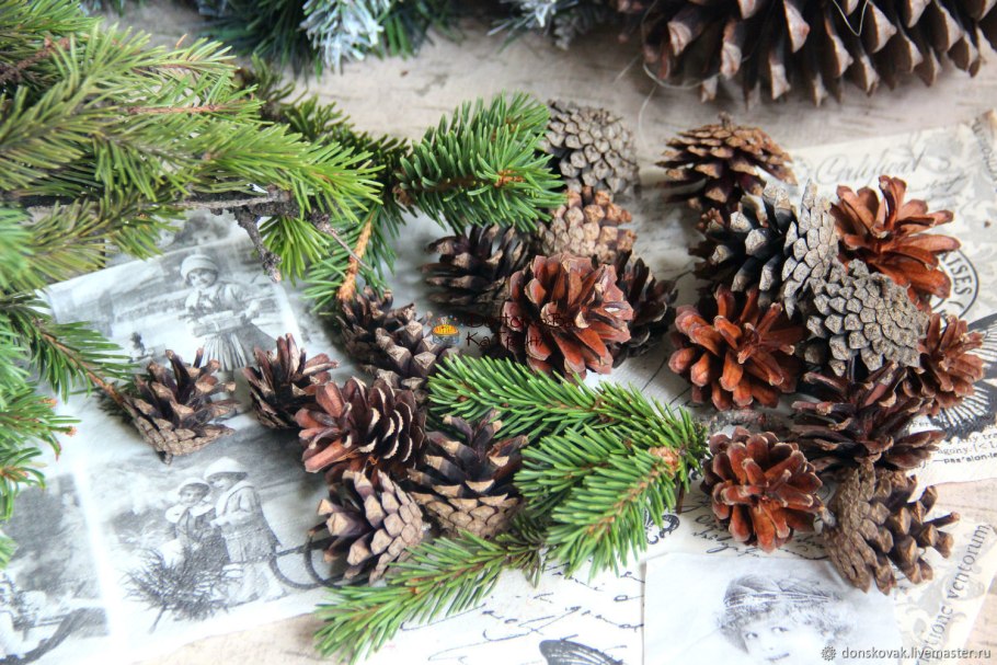 Сосновые шишки Геншин