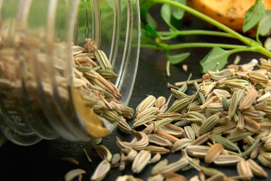 Фенхель обыкновенный семена