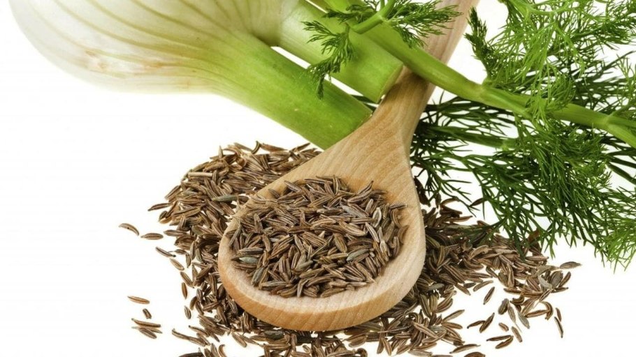 Fennel Seeds приправа