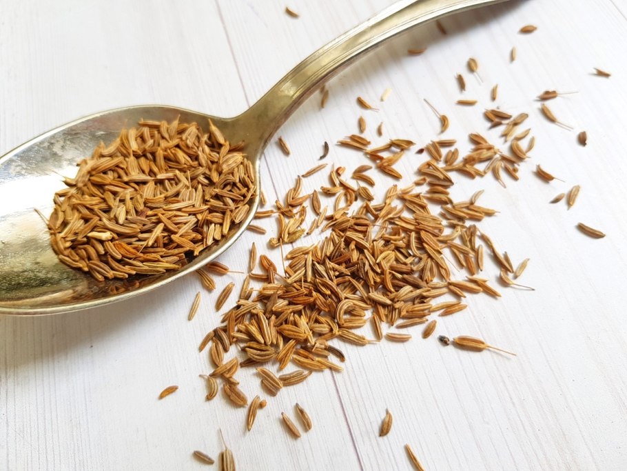 Фенхель обыкновенный плоды