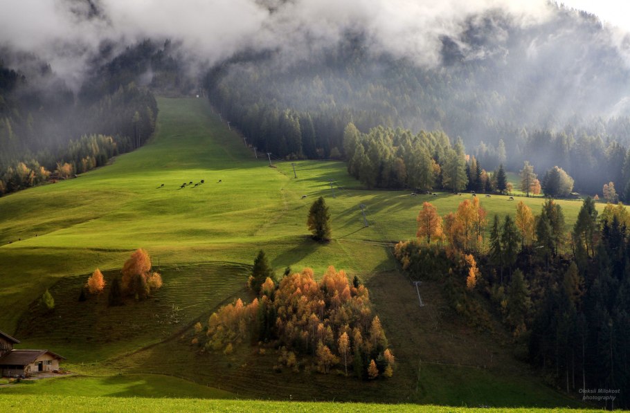 Плато Лагонаки Альпийские Луга Адыгея