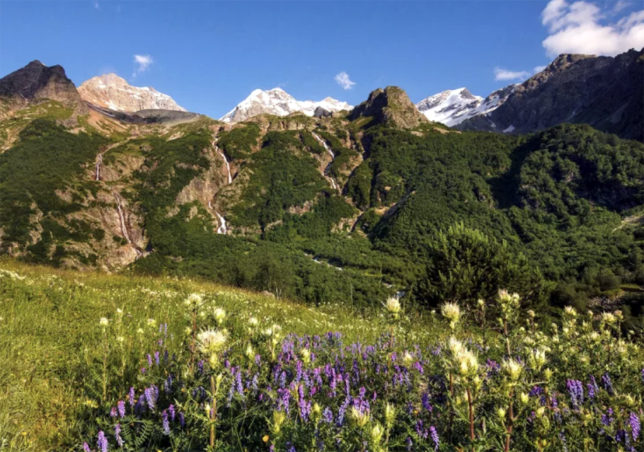 Швеция Альпийские Луга