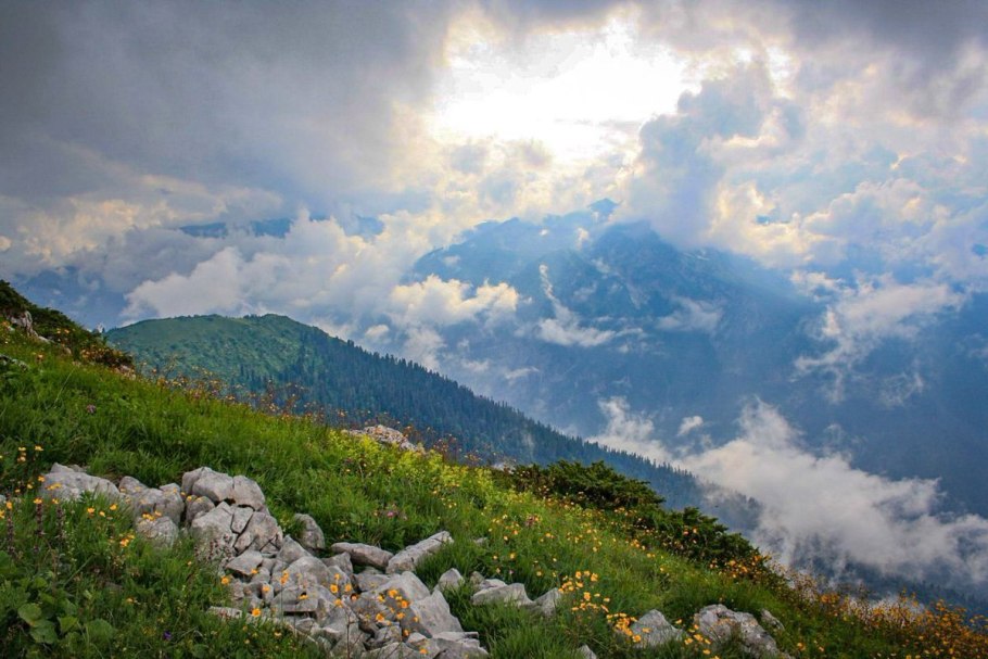Альпийский луг Баргузинский заповедник