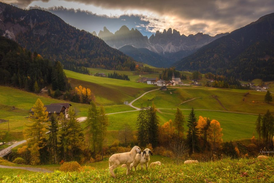 Альпийские Луга Заилийского Алатау