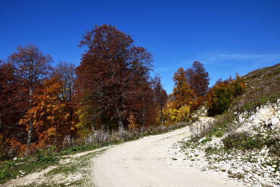 Доломитовые Альпы