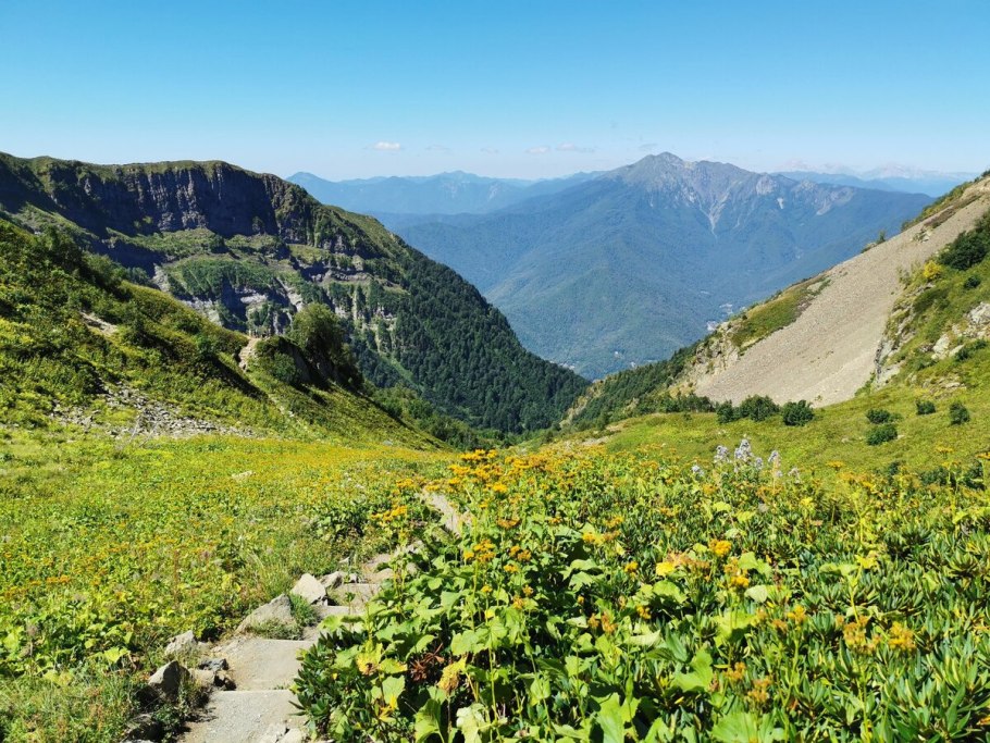 Альпийские Луга