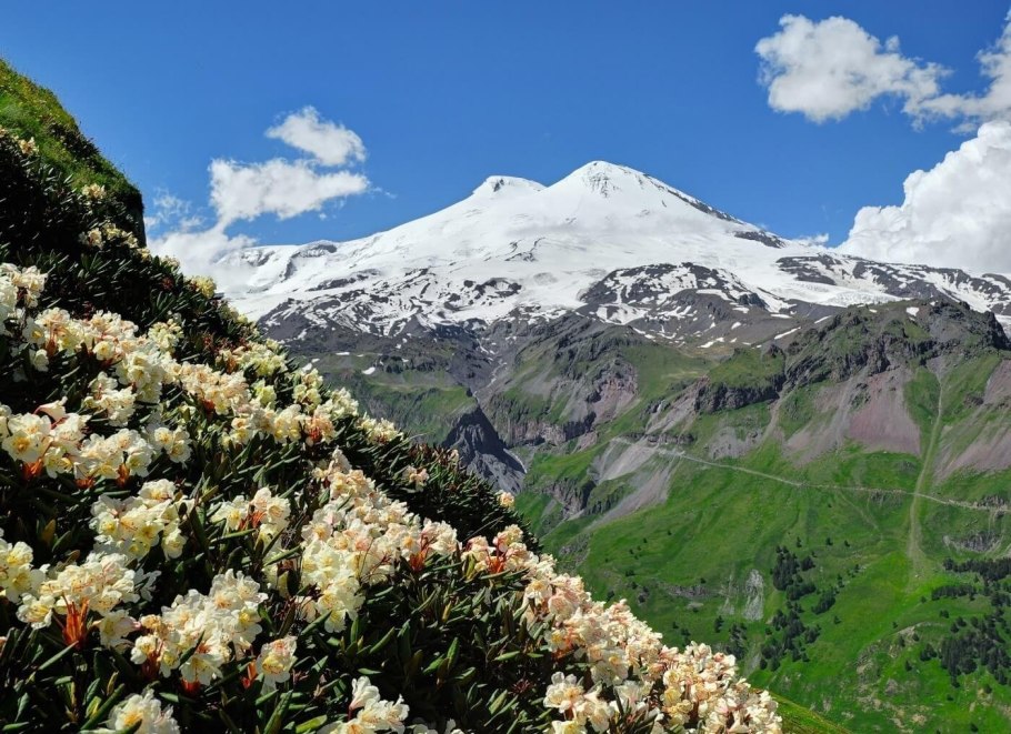 Альпы горные Луга Швейцария