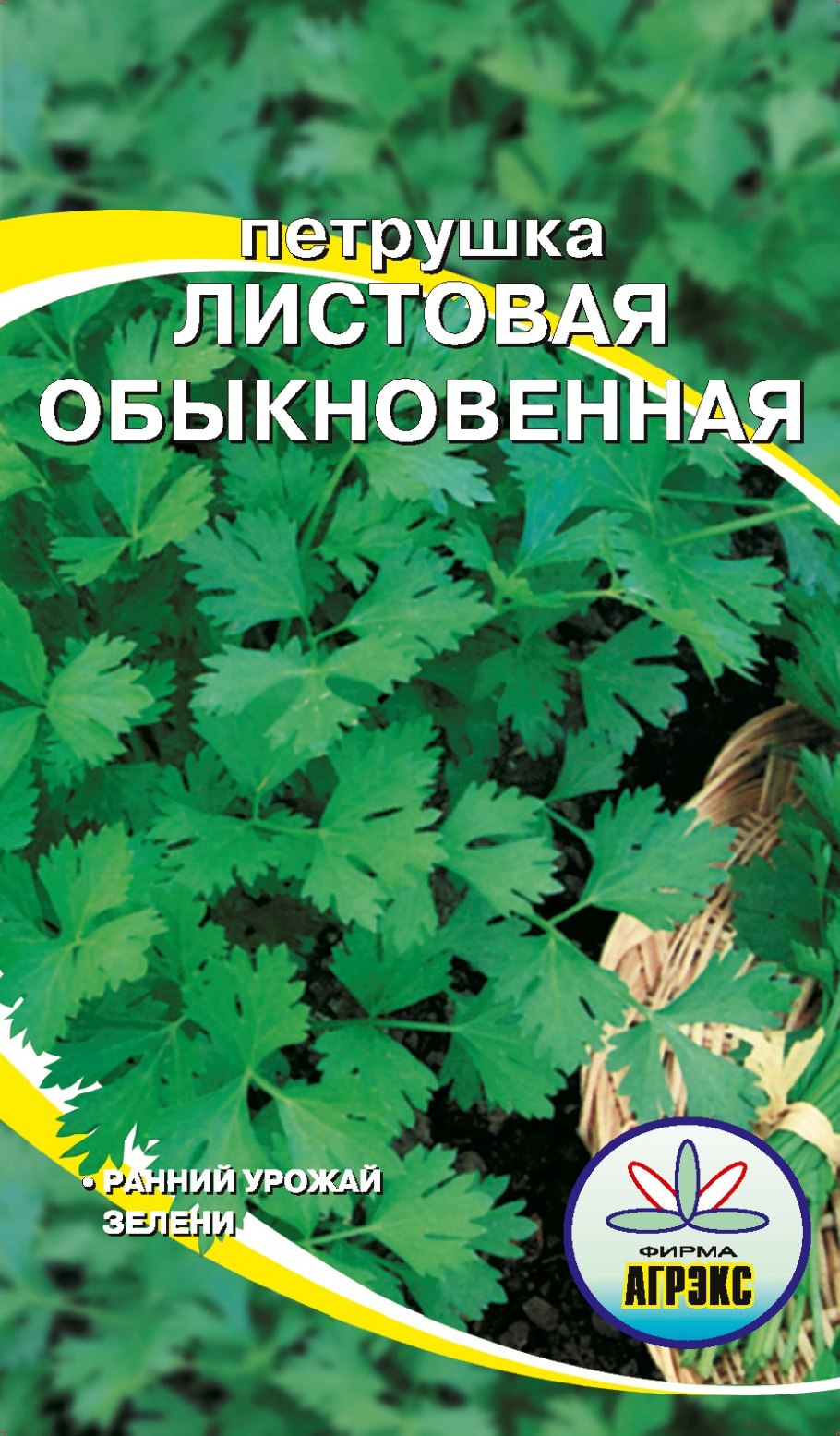 Петрушка parsley