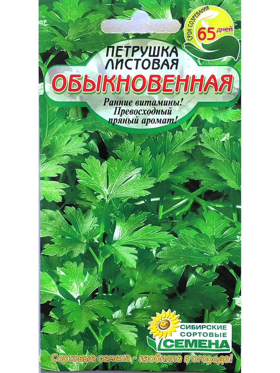 Петрушка листовая Бриз