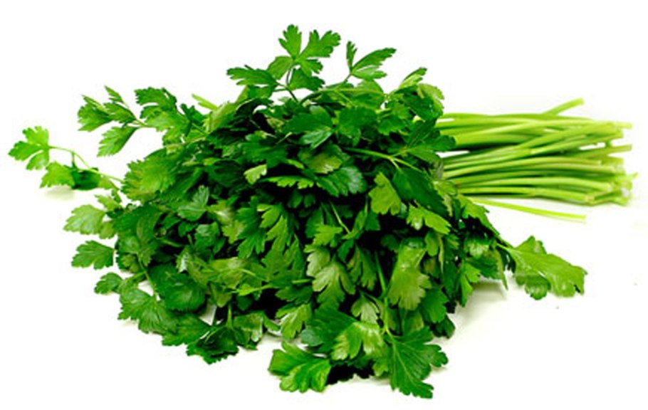 Petroselinum crispum