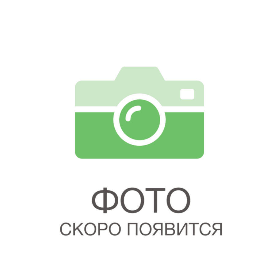 Луковица карандашом