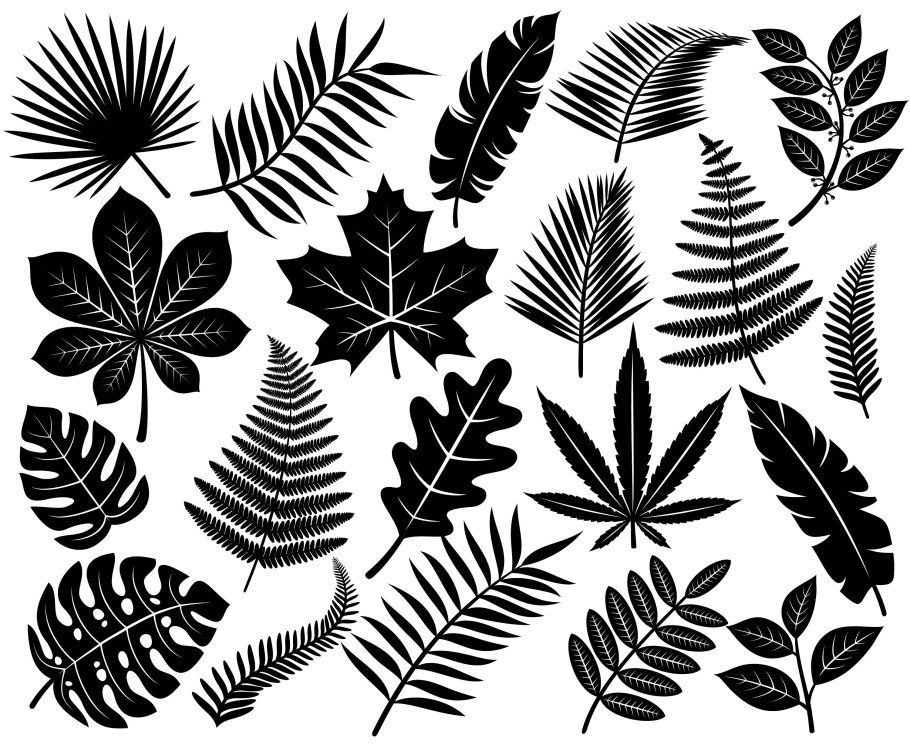 Тропические листья силуэт