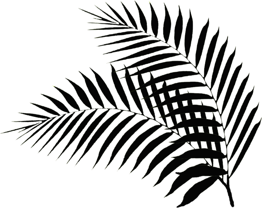 Пальмовая ветвь символ Израиля