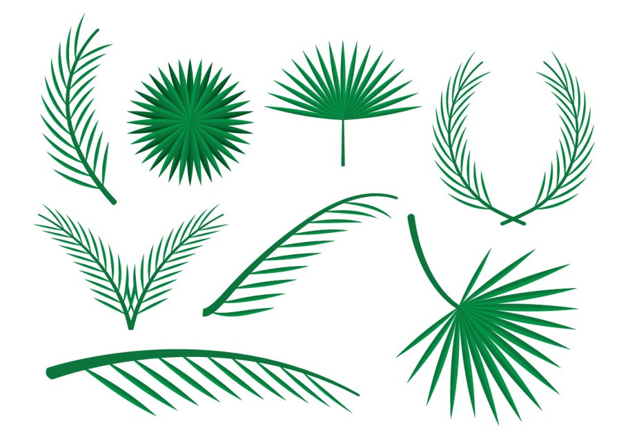 Пальмовые листья вектор