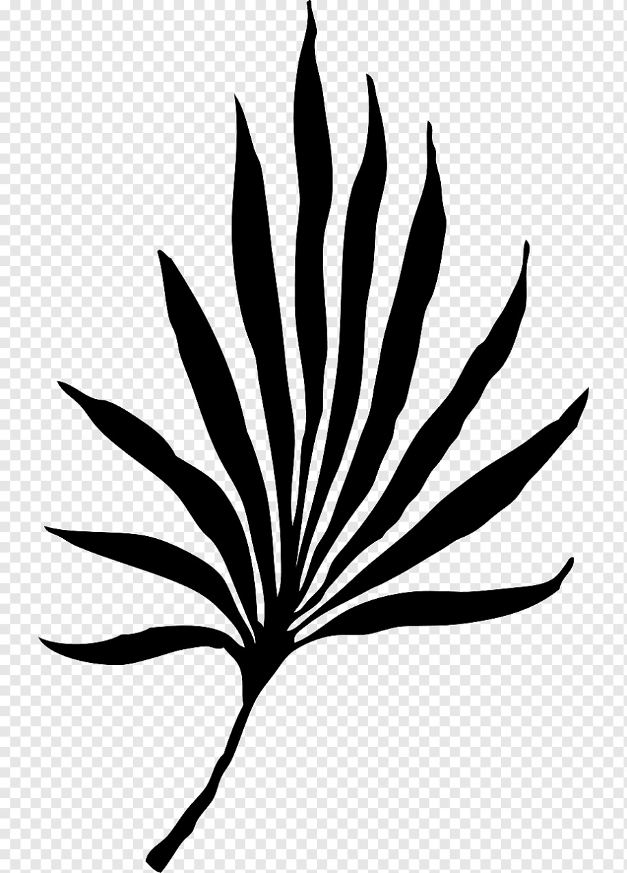 Силуэт тропических листьев