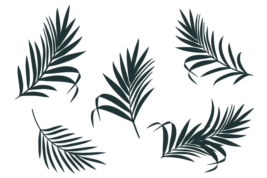 Пальмовые ветки вектор
