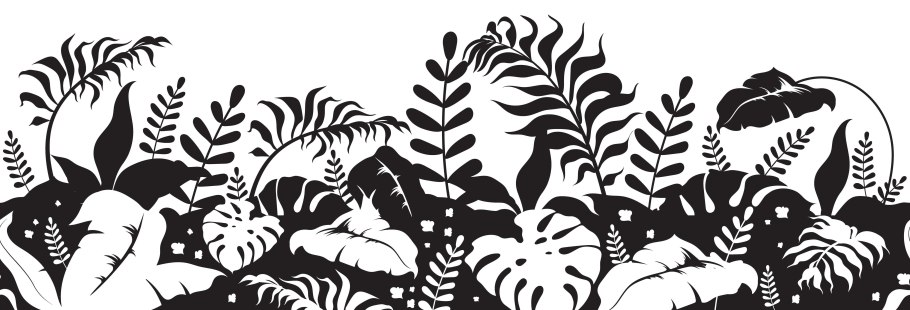 Vegetation vector Jungle