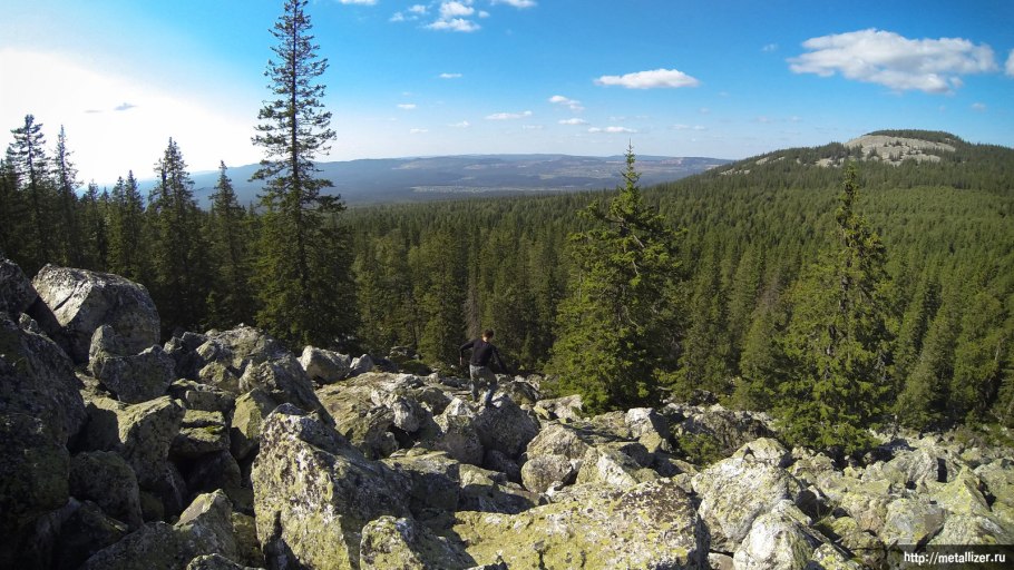Южно-Уральский заповедник Флора