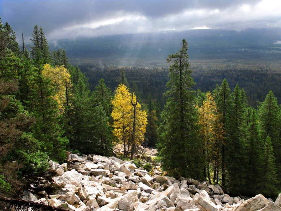 Зюраткуль лес
