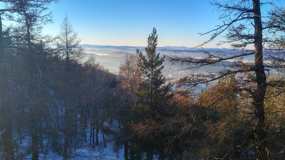 Башмачок капельный