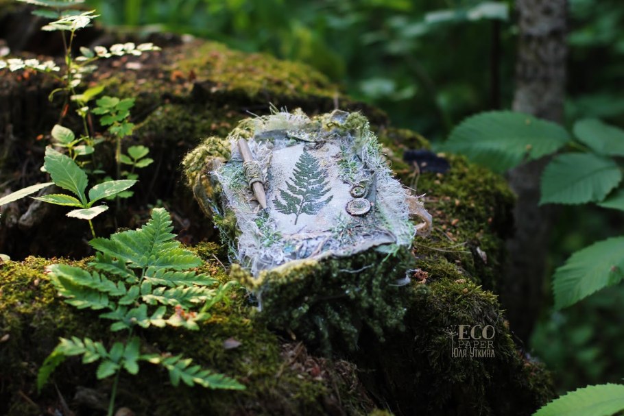 Лесная нимфа папоротник