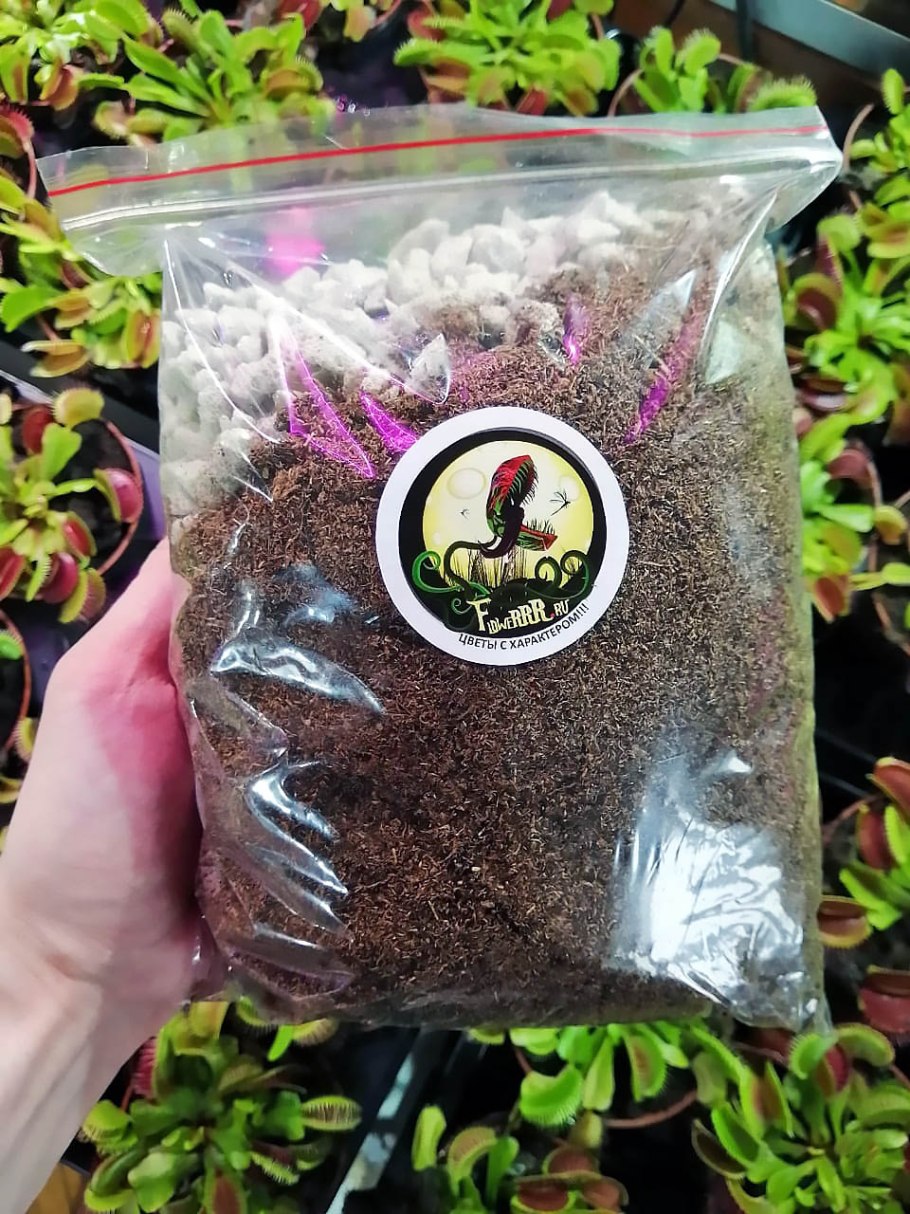 Грунт для хищных растений