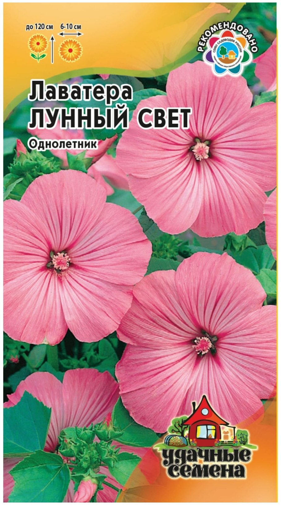 Лаватера мускусная