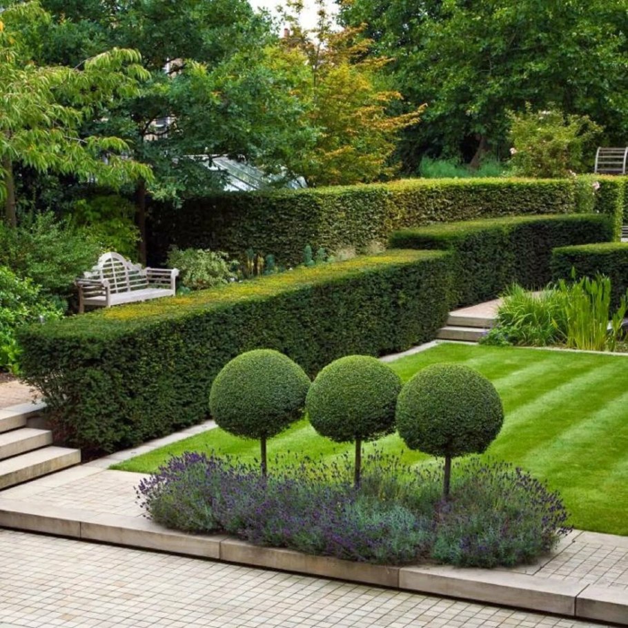 Джон Вайдман ландшафтный дизайнер