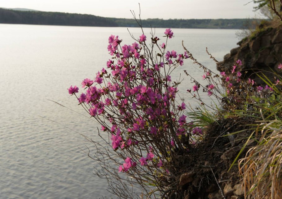 Река Синяш Мордовия