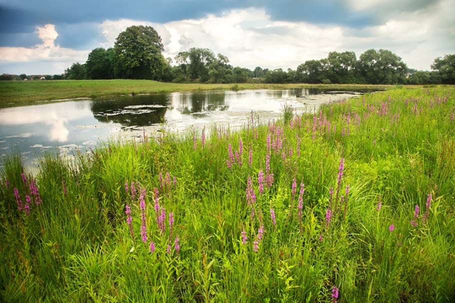 National wildlife refuge