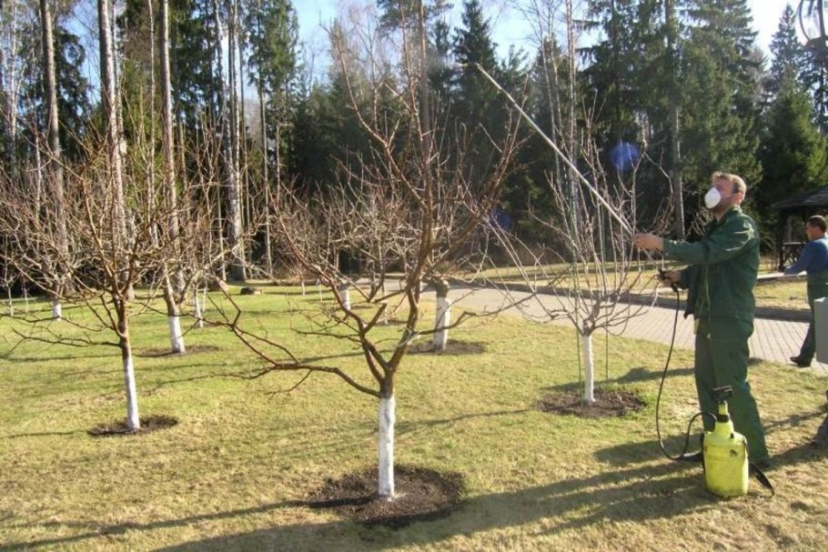 Обработка дерева