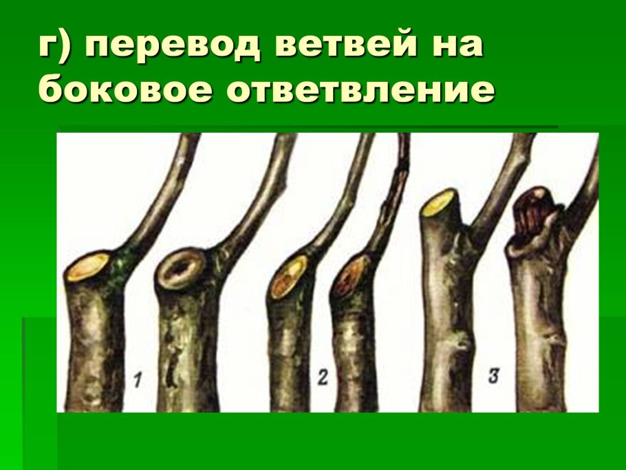 Обрезка на боковое ответвление