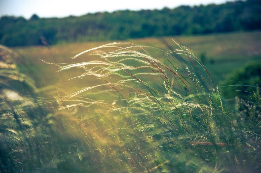 Лето на ветер